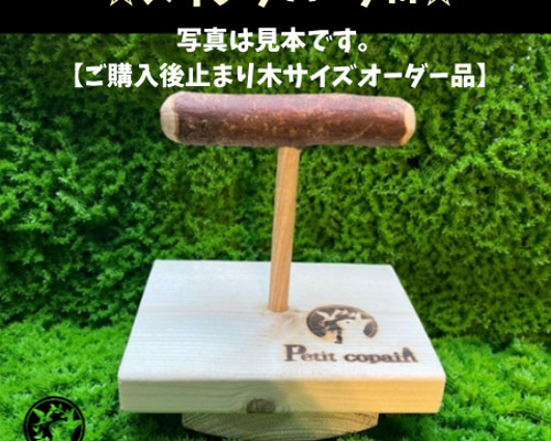 ☆スイングパーチM☆ 【止まり木サイズオーダー品】バードジム