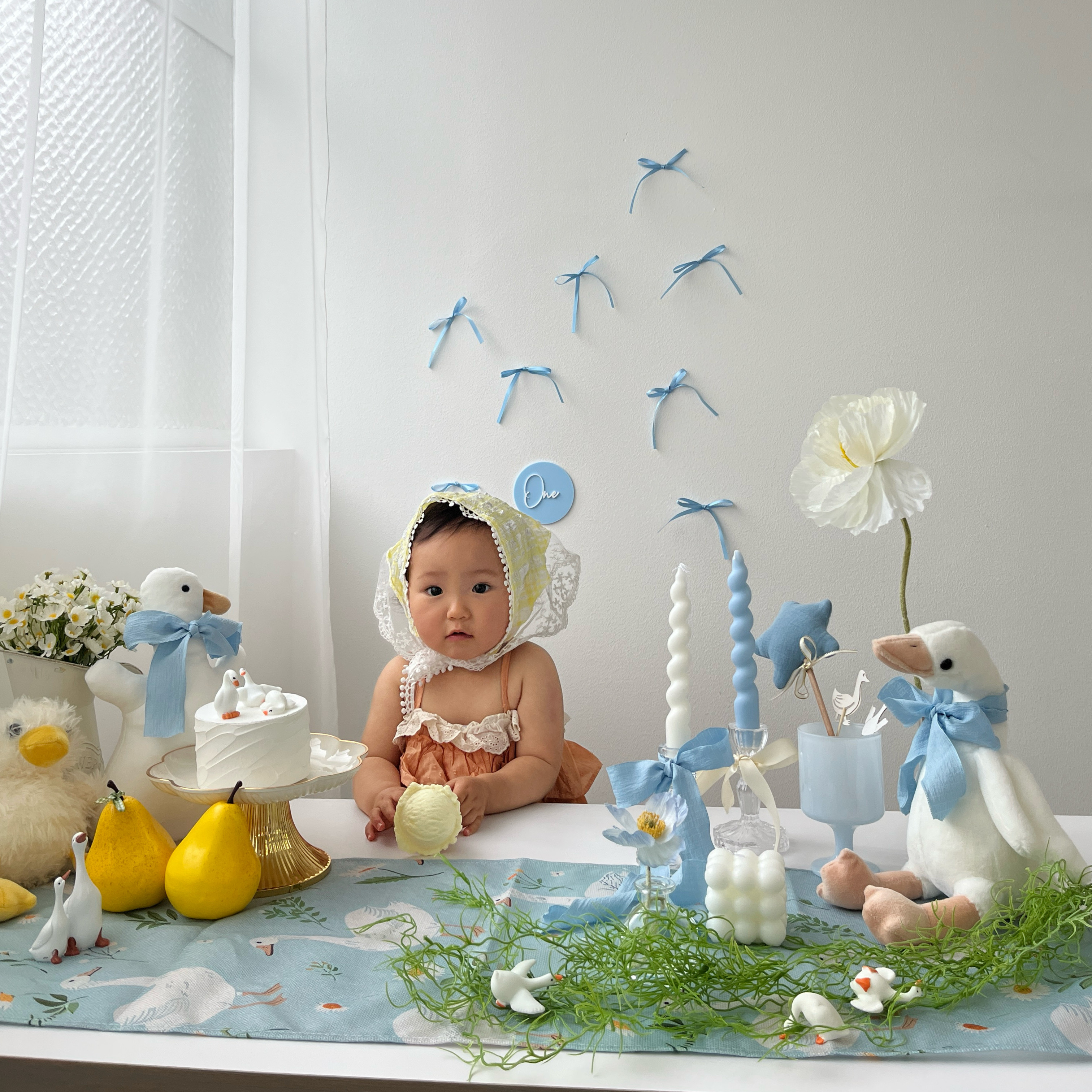 レンタル撮影セット-goose-