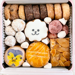 puapuaオリジナルビションのクッキー缶 4枚目の画像