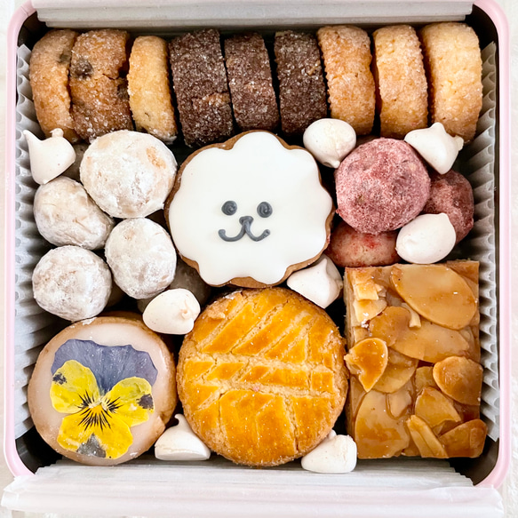 puapuaオリジナルビションのクッキー缶 4枚目の画像