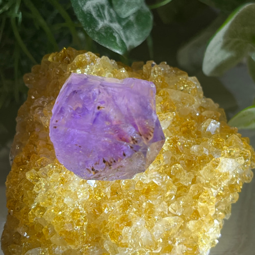 ゴールドカコクセナイト 紫水晶 アメジスト 結晶 原石 ラフストーン