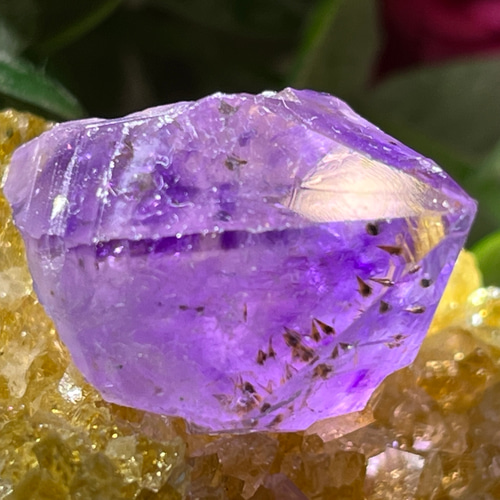 ゴールドカコクセナイト 紫水晶 アメジスト 結晶 原石 ラフストーン