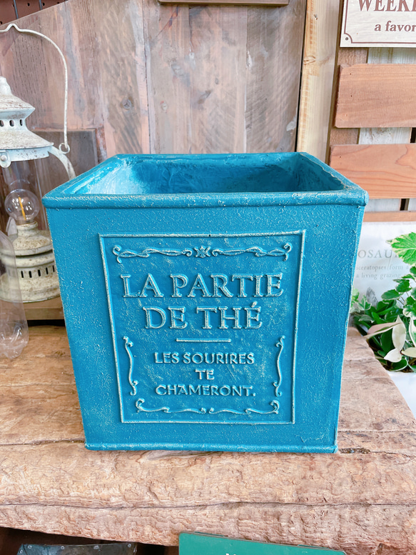 多肉植物 青緑色の鉢 大きめ*6 多肉植物 青緑色の鉢 大きめ