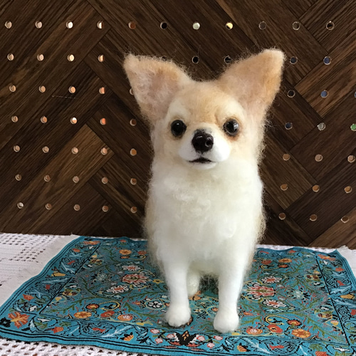 ロングコートチワワ（パーティーカラー）お座りポーズ 羊毛フェルト