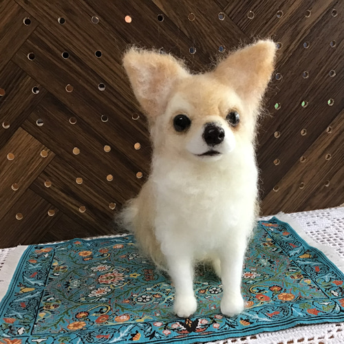 ロングコートチワワ（パーティーカラー）お座りポーズ 羊毛フェルト