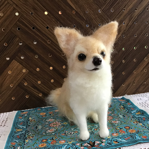 ロングコートチワワ（パーティーカラー）お座りポーズ 羊毛フェルト