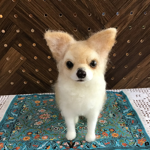ロングコートチワワ（パーティーカラー）お座りポーズ 羊毛フェルト