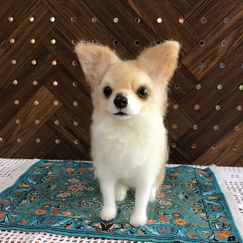 ロングコートチワワ（パーティーカラー）お座りポーズ 羊毛フェルト
