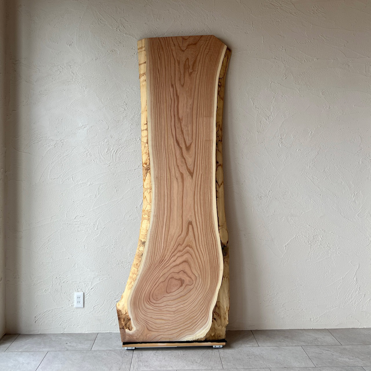 【オーダーメイド】センダン 栴檀 一枚板 高周波プレス済み Lサイズ 幅：約2300mm×奥行：約650mm(最大)