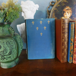 1895年 表紙が素敵なドイツの詩集 古書 ヴィンテージ本