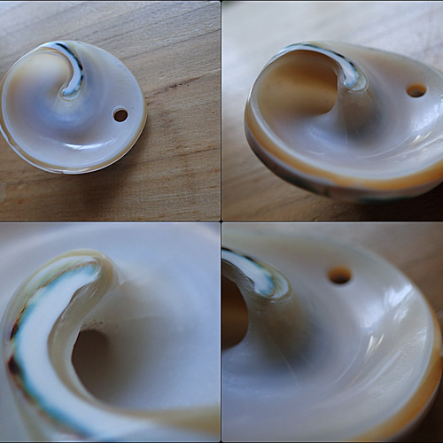 沖縄産夜光貝 ペンダントトップ 渦巻模様 ペンダントトップ