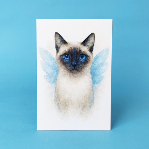 シャム猫ミツのまなざし羽のある猫のポストカード ポストカード Shamu