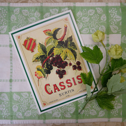 ヴィンテージ　フランスのポストカード　L版　cassis 3枚目の画像