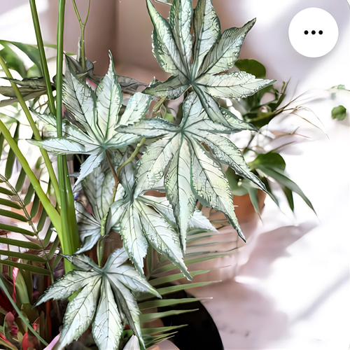 光触媒 人工観葉植物 ウォールグリーン フェイクグリーン セローム