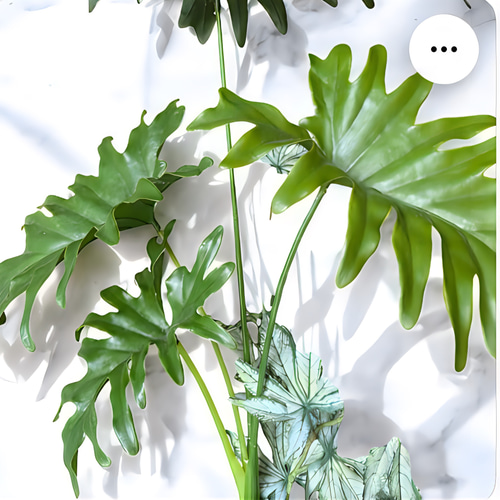 光触媒　人工観葉植物　ウォールグリーン　フェイクグリーン　セロームアレンジ87 光触媒 人工観葉植物 ウォールグリーン フェイクグリーン