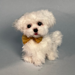 マルチーズ ぬいぐるみ のおすすめ人気通販 検索結果｜Creema(クリーマ