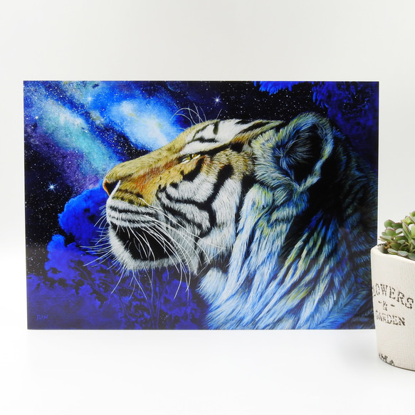 A4アートプリント『great tiger～星雲と虎～』高光沢紙/宇宙/星/額無し 9枚目の画像