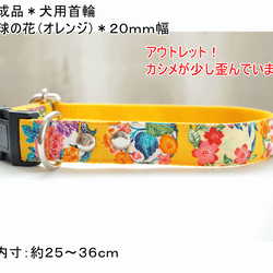 ★出来上がりのお品★犬用首輪　琉球の花（オレンジ）　２０mm幅　子犬　中型犬　小型犬　夏　沖縄　花柄　和柄　アウトレット 1枚目の画像