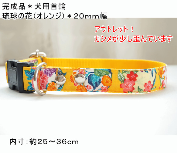 ★出来上がりのお品★犬用首輪　琉球の花（オレンジ）　２０mm幅　子犬　中型犬　小型犬　夏　沖縄　花柄　和柄　アウトレット 1枚目の画像