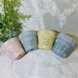 リメイク鉢 リメ鉢 2.5号鉢3点セット A-5 多肉植物 Felice piu +