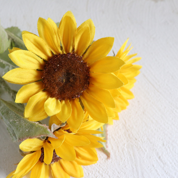 dolce様専用ページ 1枚目の画像