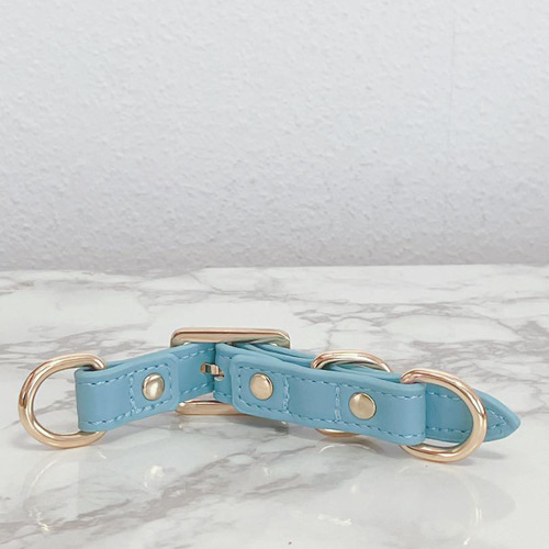 首輪用ベルト Dカン付き 首輪 パラコード リード ブルー ゴールド