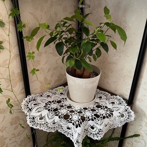 No.8『ホワイトのレース編みドイリー』テーブルクロス．ハンドメイド ハンドメイド レース編みドイリーNo.8 その他インテリア雑貨 Kazoo