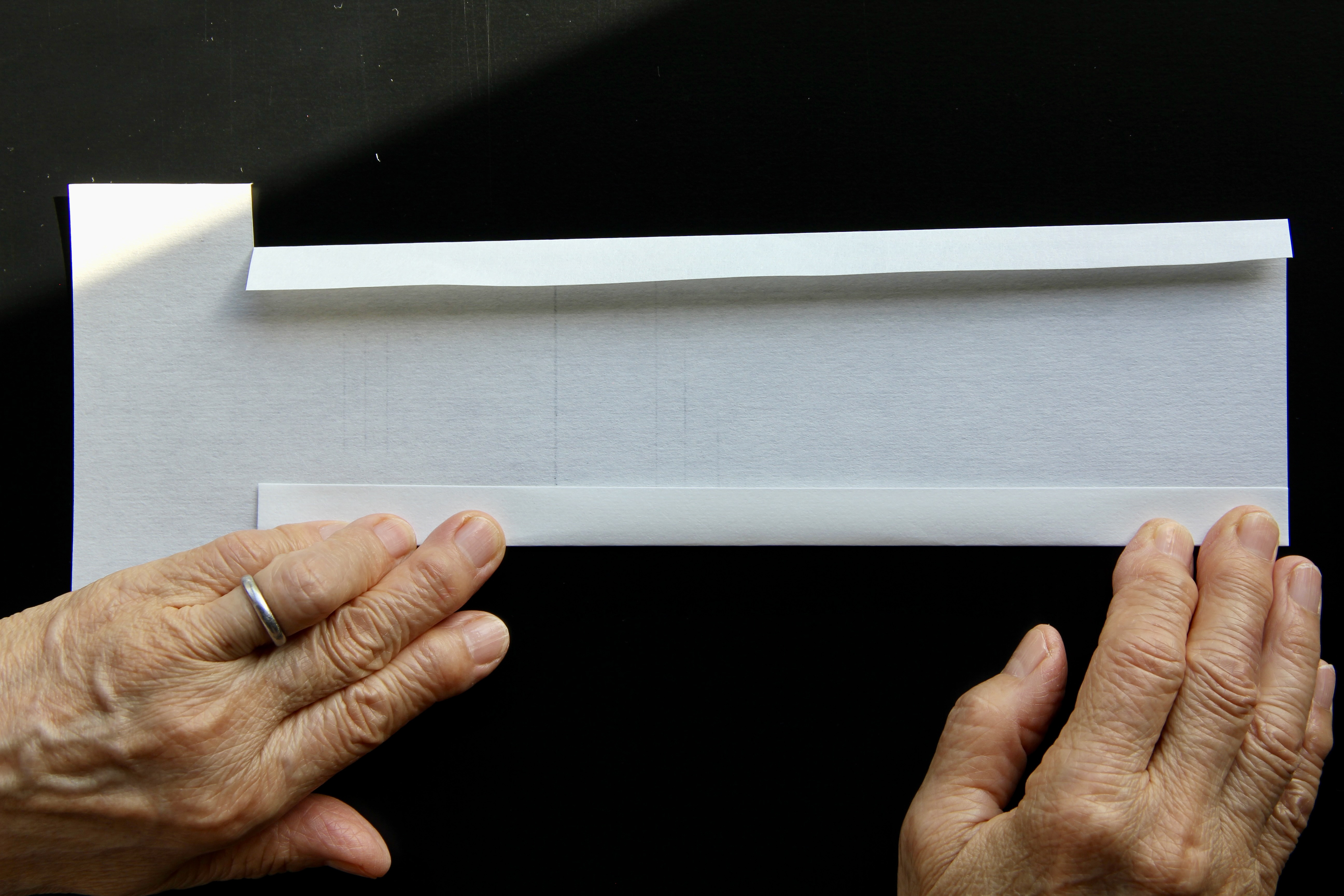 【Répétune】vol.7：Feuillade｜綴りの小径　【本革製封筒】