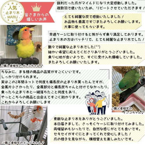 なめらか標準タイプ 太さ約2.5cm～約3cm 1本 備長炭止まり木