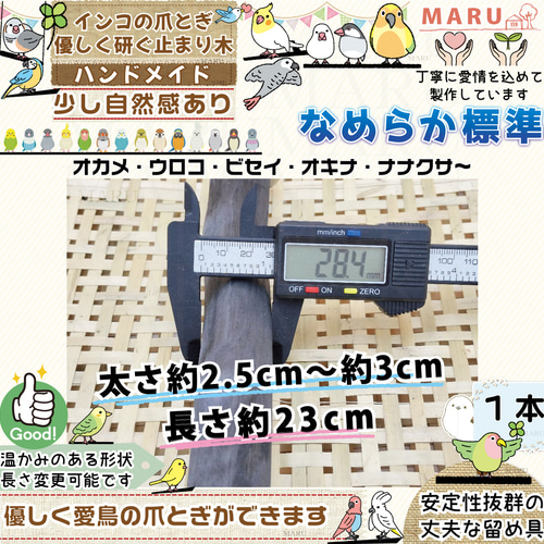 なめらか標準タイプ 太さ約2.5cm～約3cm 1本 備長炭止まり木