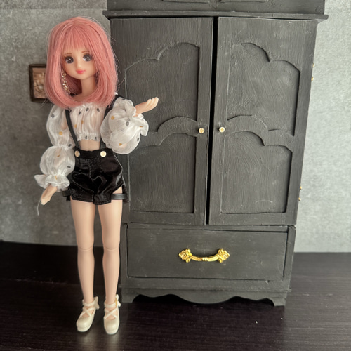 リカちゃんクローゼット　アイシードール　ブライス　ミニチュアクローゼット リカちゃんクローゼット アイシードール ブライス ミニチュア