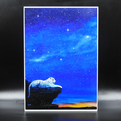 夏の福袋A4アートプリント(虎、星雲）２点セット /高光沢紙/宇宙/星/額無し 6枚目の画像