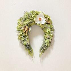 幸せを運ぶアナベル馬蹄リース セルリア リース malay_roseyvespiaget