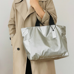 現品］【希少】2番 サイカス タイシルバー 実生 蘇轍 観葉植物 レア 6