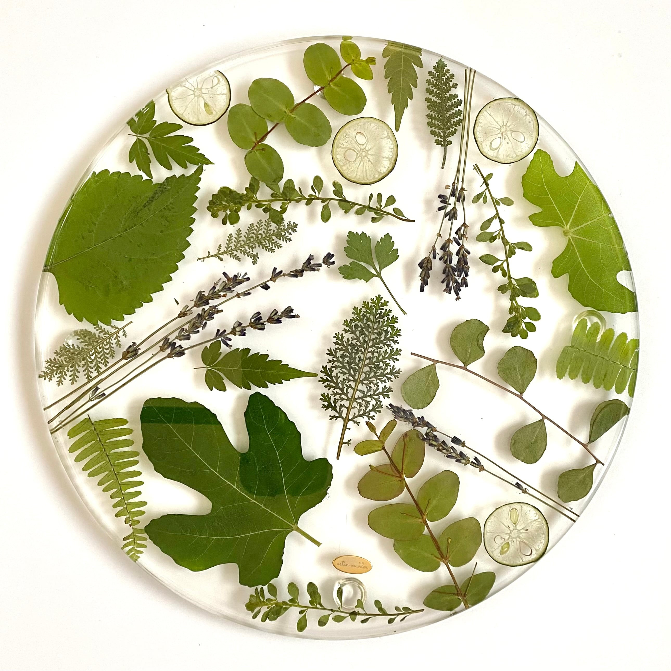 【Lサイズ】ボタニカルのお皿