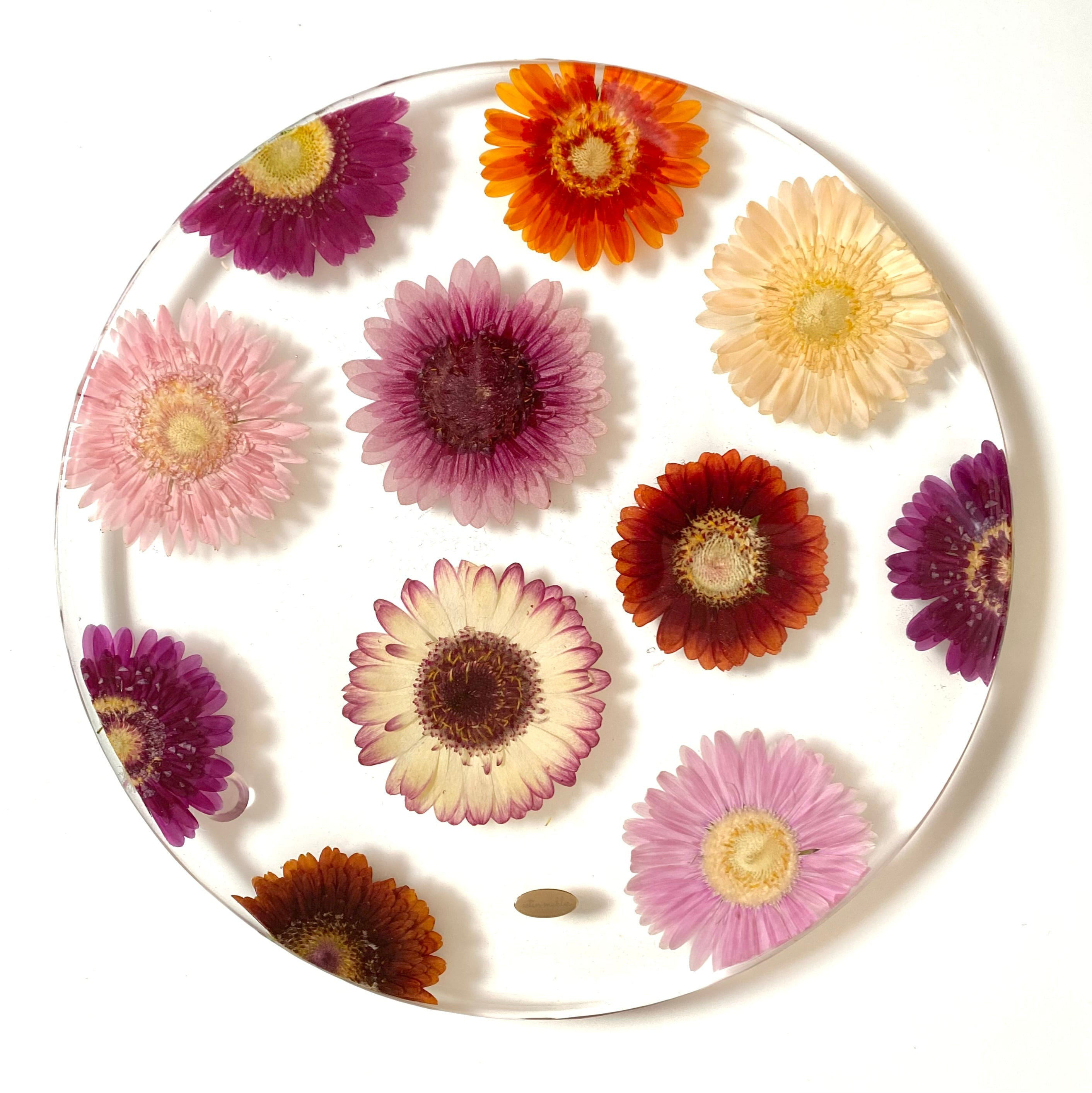 【Lサイズ】ガーベラミックスのお皿