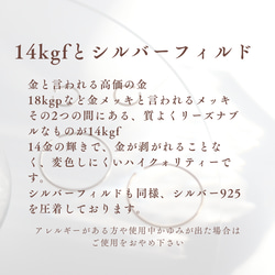 【14kgf】波打ち際のイヤリング 13枚目の画像