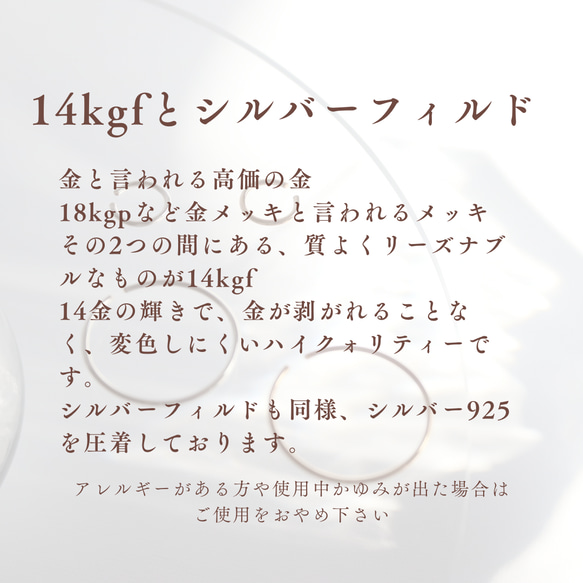 【14kgf】波打ち際のイヤリング 13枚目の画像