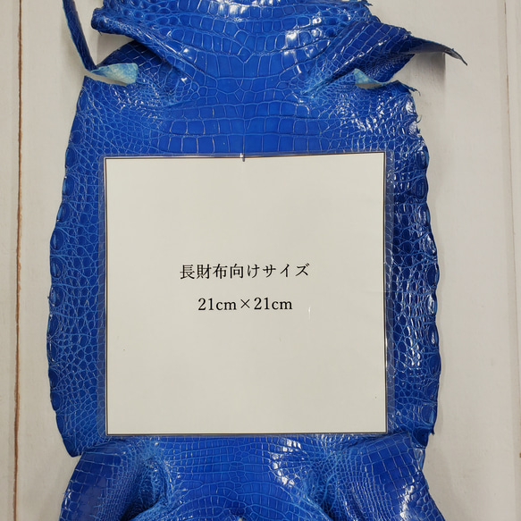 ワニ革　グレージング(艶)　ラピスラズリ　No.C008439 7枚目の画像