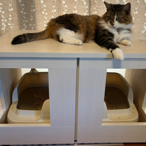 にゃんとも のびのびリラックスのための 猫トイレカバー ハウス・小屋