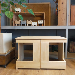 【特注】爬虫類ケージ　60×30×30 化粧板防水 特注】爬虫類ケージ 60×30×30 化粧板防水