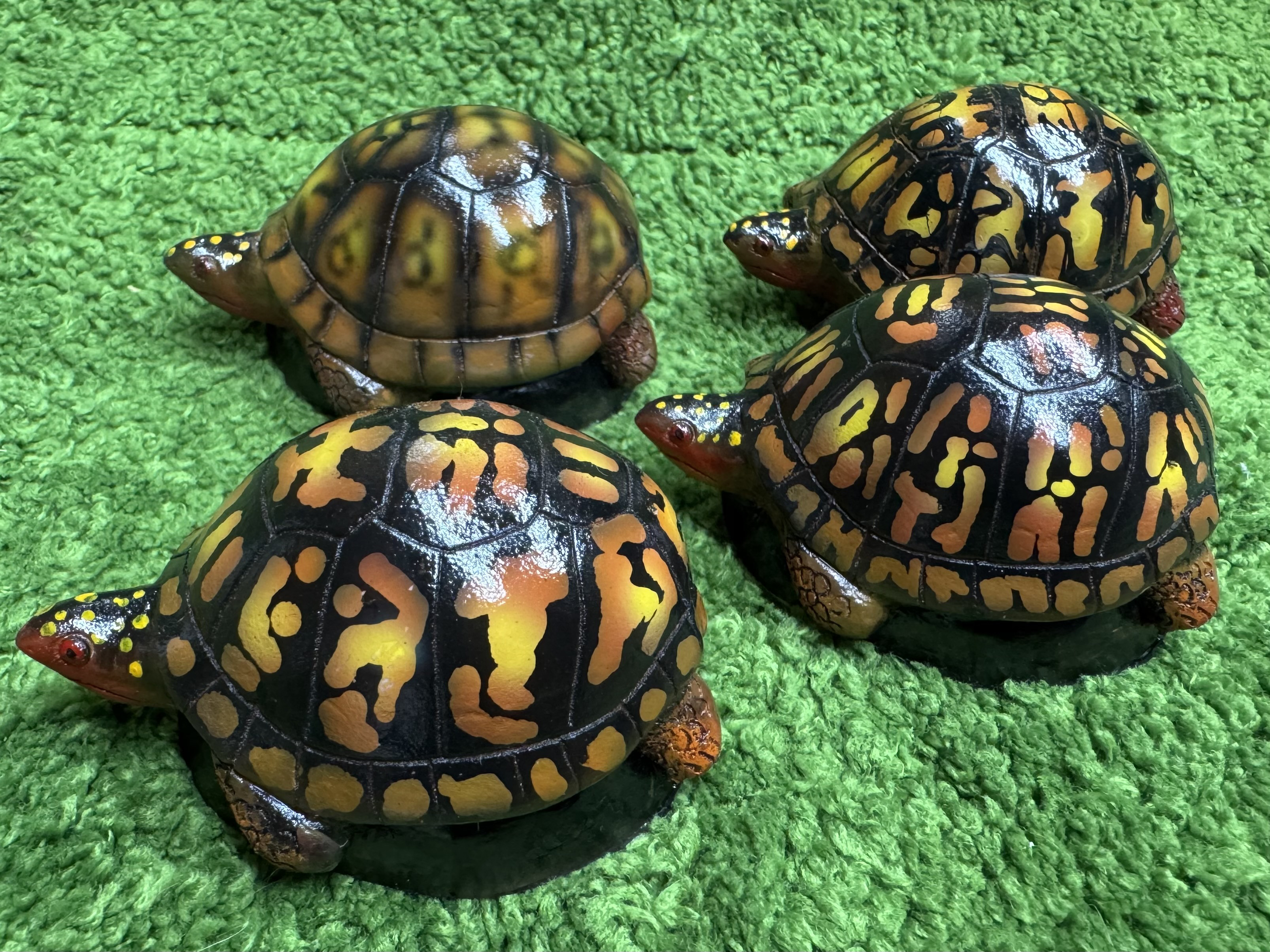 ハコガメ　フィギュア