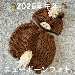 2026年午年♡馬の編みぐるみ♡干支に置物 あみぐるみ そのちゃん 通販
