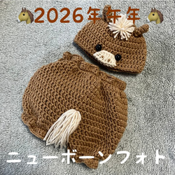 2026年干支　午年　ユニコーン　ワンコ用帽子 aibo用馬の帽子・馬のあみぐるみ♡2026年午年♡馬の帽子 ペット