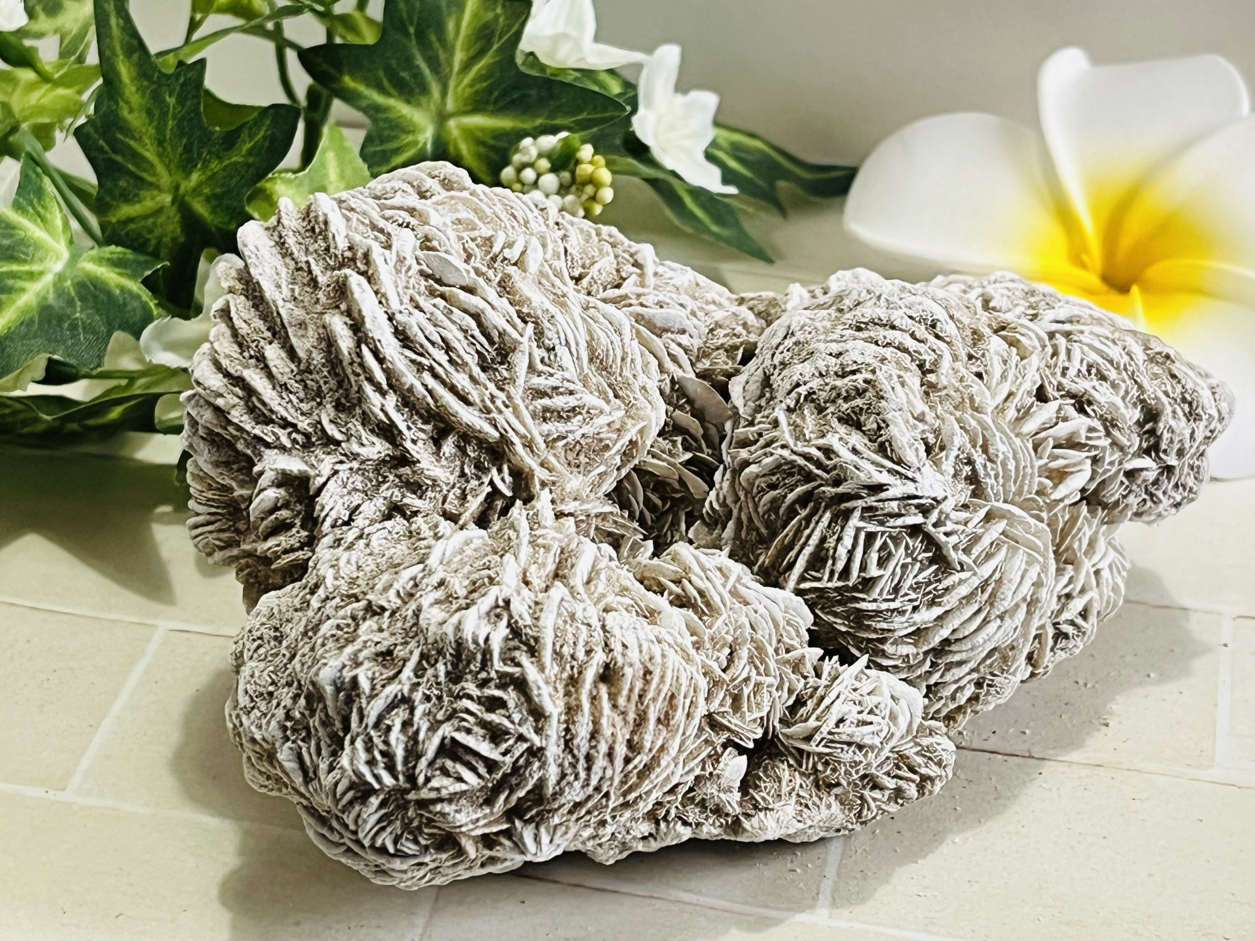 特大✨　知性の石　砂漠の薔薇　デザートローズ　セレナイト　ラフストーン　原石