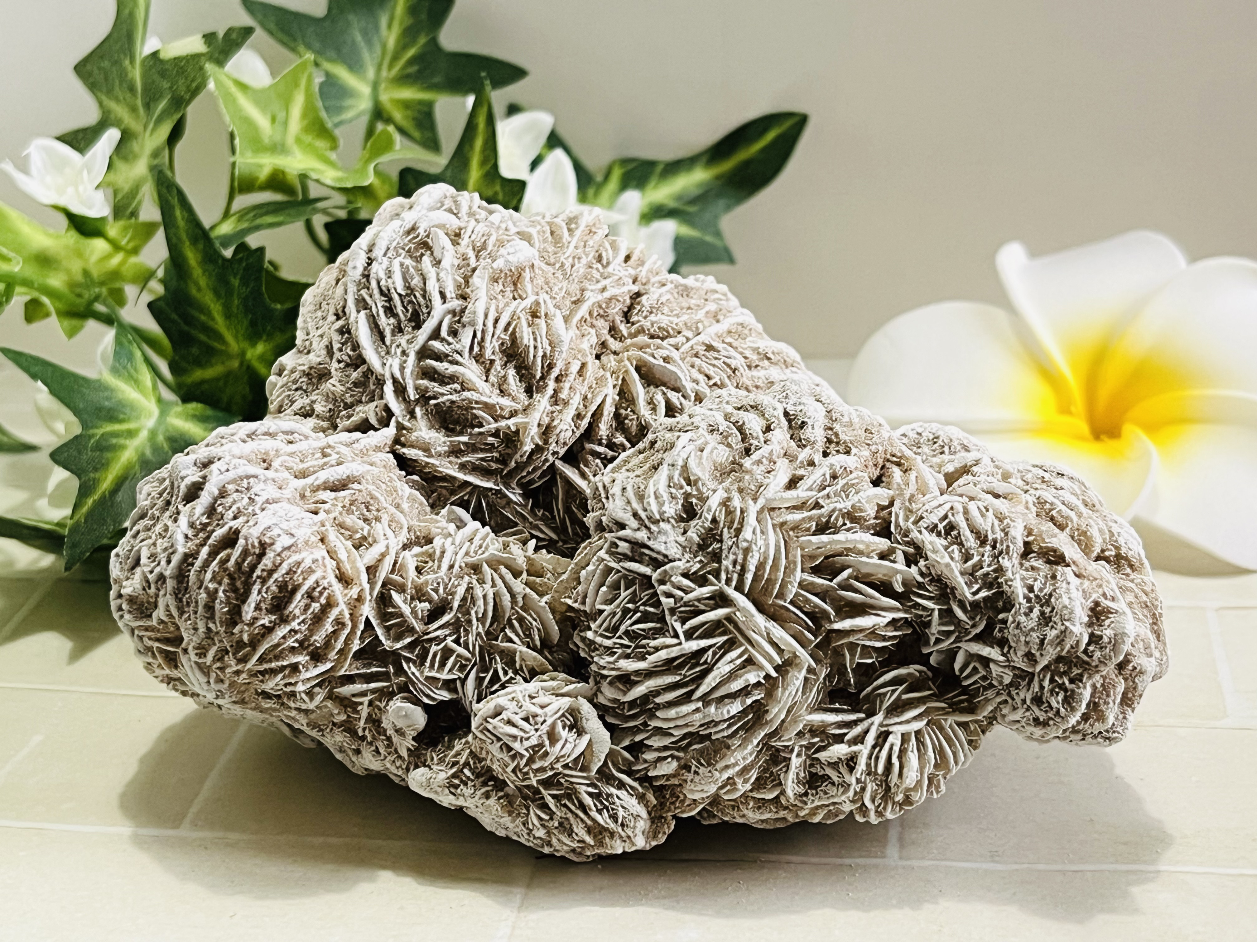 特大✨　知性の石　砂漠の薔薇　デザートローズ　セレナイト　ラフストーン　原石