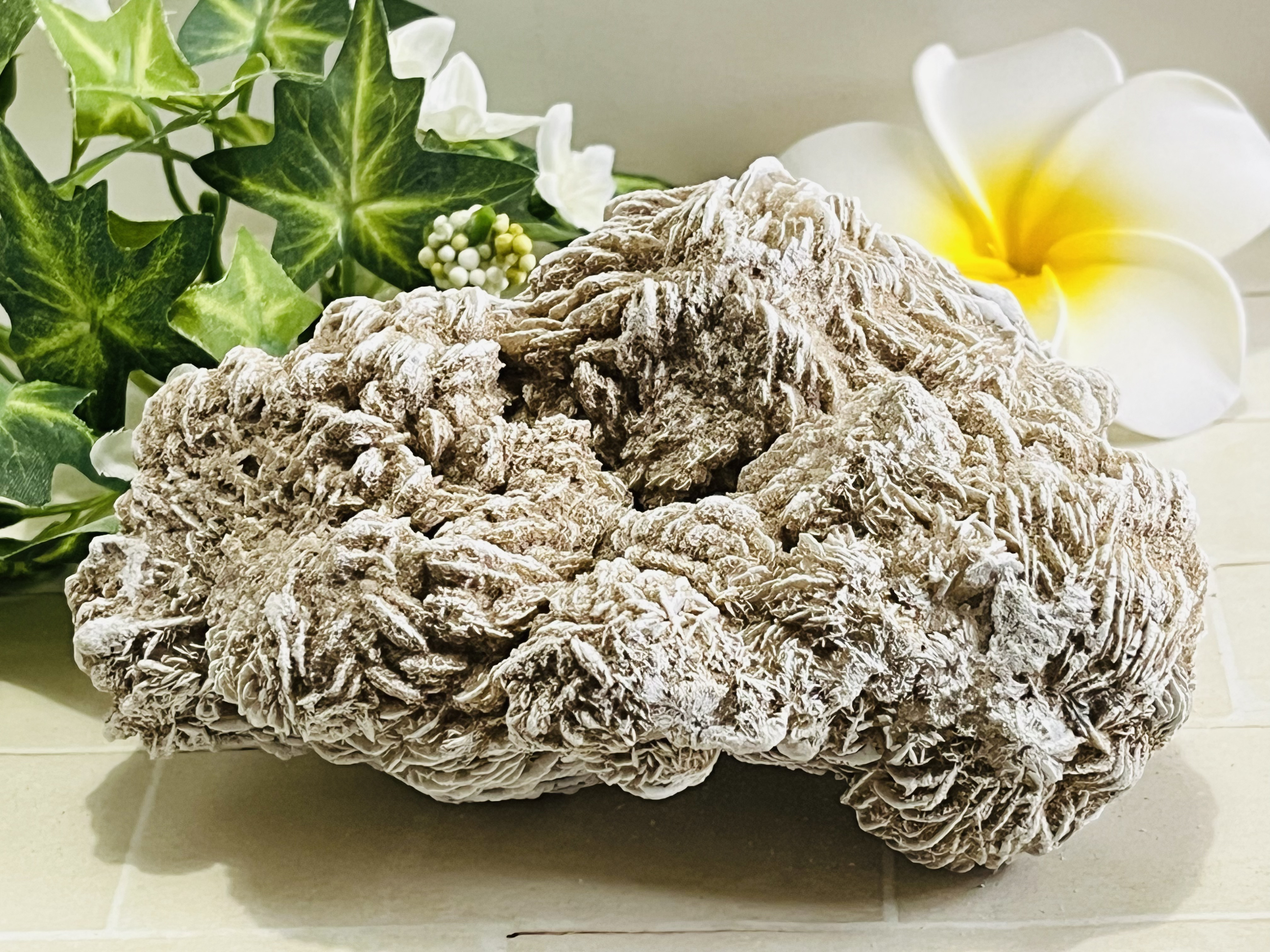 特大✨　知性の石　砂漠の薔薇　デザートローズ　セレナイト　ラフストーン　原石