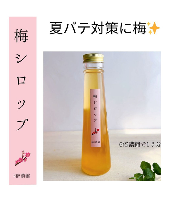 浜松産無農薬梅の恵みシロップ 無農薬梅を使用した梅シロップ　無添加 1枚目の画像