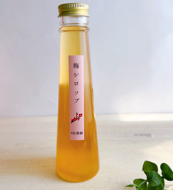 浜松産無農薬梅の恵みシロップ 無農薬梅を使用した梅シロップ　無添加 3枚目の画像