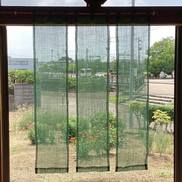 蚊帳　淡緑の暖簾 1枚目の画像